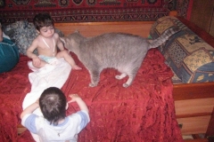 IMG_1134-850x637